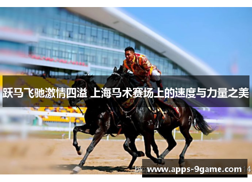 跃马飞驰激情四溢 上海马术赛场上的速度与力量之美